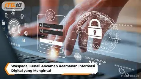 Keamanan Streaming Online Infografis keamanan data saat streaming online