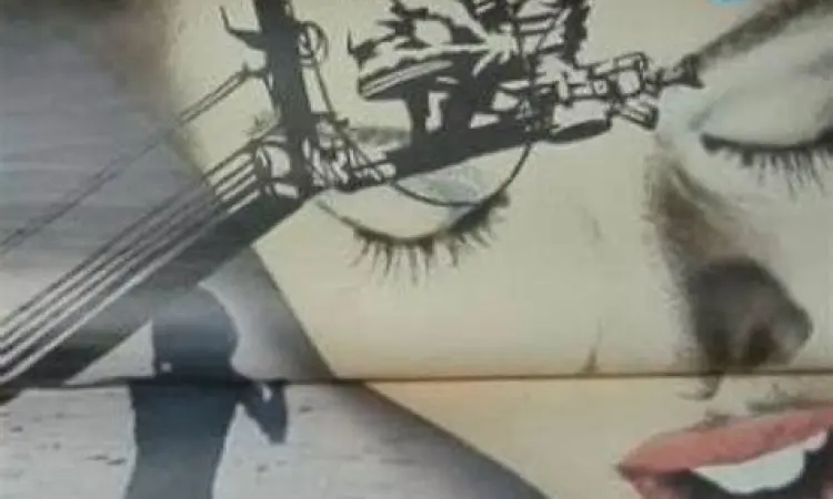 Sejarah Pinku Eiga Jepang Poster film klasik Jepang genre Pinku Eiga