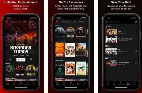 Antarmuka Aplikasi Streaming Antarmuka aplikasi streaming film legal