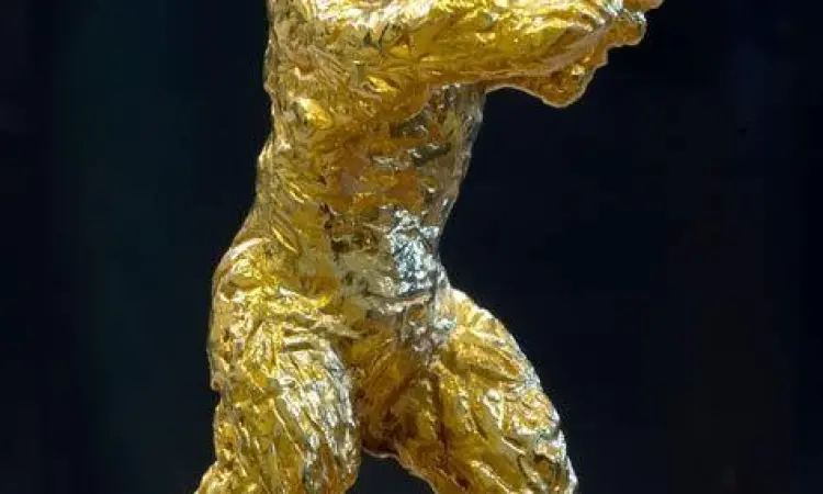 Penghargaan Golden Bear untuk film Intimacy