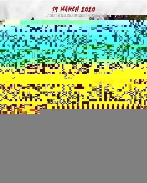 Poster KKN Desa Penari Poster Film KKN Desa Penari 2022