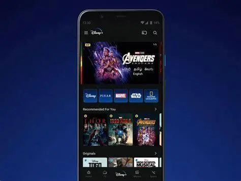 Streaming Legal Melur Untuk Firdaus Tampilan aplikasi Disney+ Hotstar