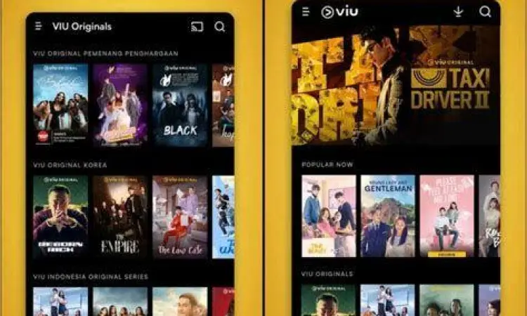Pengaturan Subtitle Menu pengaturan subtitle bahasa Indonesia di aplikasi streaming