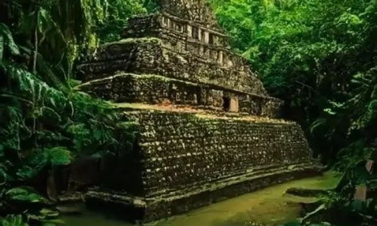 Reruntuhan peradaban Maya di tengah hutan rimba