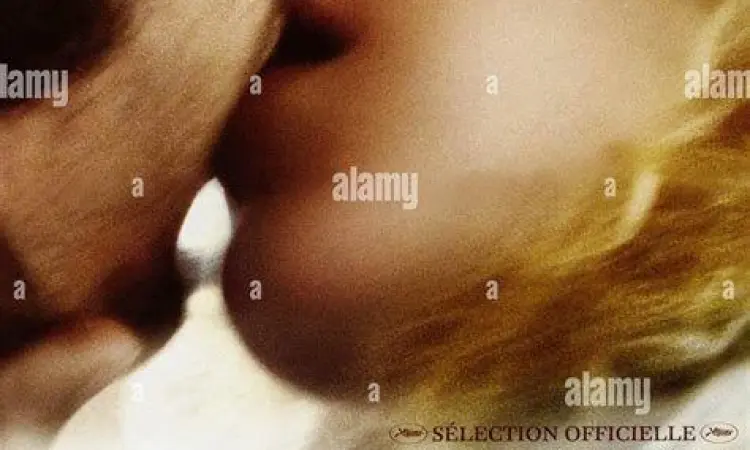 Visual Melankolis The Brown Bunny Sinematografi melankolis dalam film The Brown Bunny