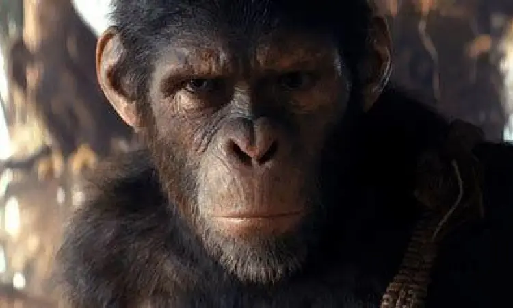 Noa sang Protagonis Baru Karakter Noa dalam Kingdom of the Planet of the Apes