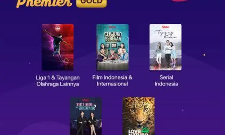 Paket langganan Vidio Premier