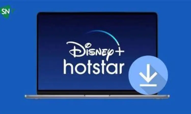 Antarmuka aplikasi Disney Plus Hotstar
